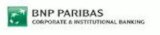 Logo BNP Paribas Corporate & Institutional Banking