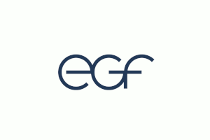 Das Logo von egf - Eduard G. Fidel GmbH