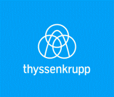 Das Logo von thyssenkrupp Information Management GmbH