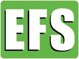 Das Logo von EFS Gesellschaft für Hebe- und Handhabungstechnik mbH