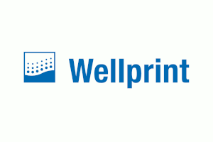Das Logo von Wellprint GmbH & Co. KG