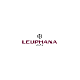 Das Logo von Leuphana GmbH