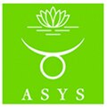 Das Logo von ASYS Automatic Systems GmbH & Co. KG