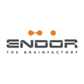 Das Logo von Endor AG