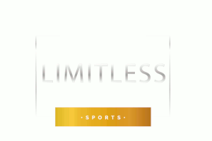 Das Logo von LIMITLESS GmbH