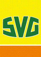 Das Logo von SVG Assekuranz-Service Baden- Pfalz-Saar GmbH