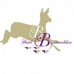Das Logo von Hotel Bannwaldsee