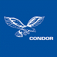 CONDOR Schutz- und Sicherheitsdienst GmbH Logo