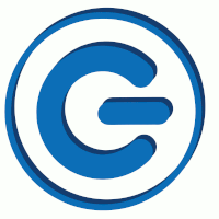 Das Logo von E-Sicherheits-Check GmbH