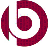 Das Logo von Hans S. Braun + Partner GbR