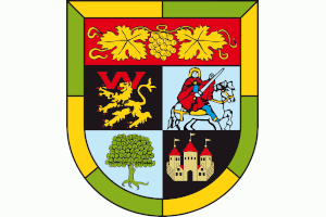 Das Logo von Verbandsgemeinde Wachenheim
