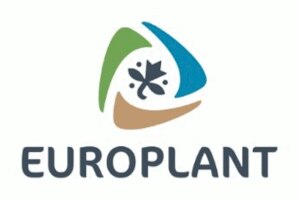Das Logo von EUROPLANT Pflanzenzucht GmbH