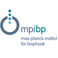 Das Logo von Max-Planck-Institut für Biophysik