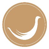 Das Logo von Next Estate GmbH