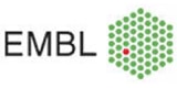 Das Logo von European Molecular Biology Laboratory (EMBL)