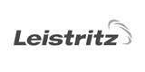 Das Logo von Leistritz AG