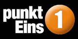 Das Logo von punktEins GmbH