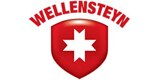 Das Logo von Wellensteyn International GmbH & Co. KG