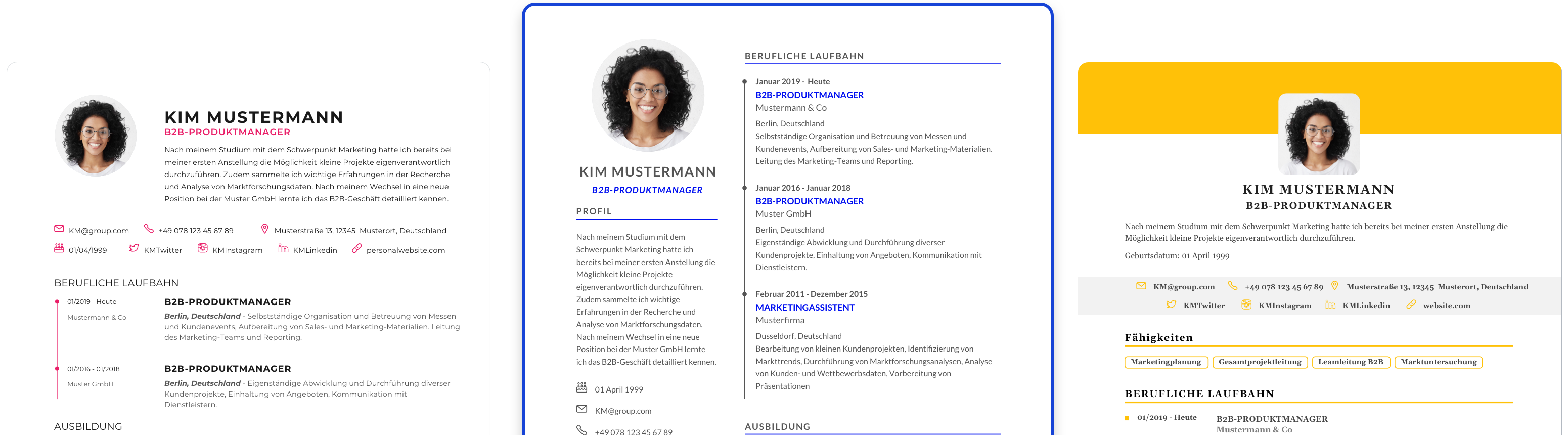 StepStone CV Generator