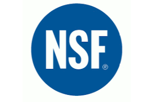 Logo NSF PROSYSTEM GmbH