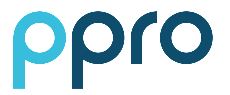 Logo PPRO Financial Ltd