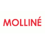 WDV-Molliné GmbH