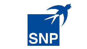 SNP Schneider-Neureither & Partner SE