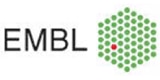 European Molecular Biology Laboratory (EMBL)