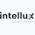 intellux consulting GmbH
